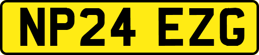 NP24EZG