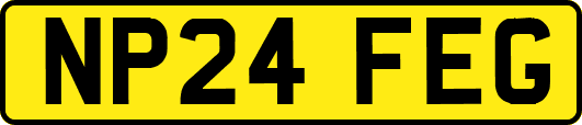 NP24FEG