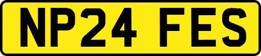 NP24FES