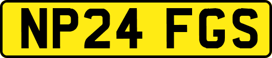 NP24FGS