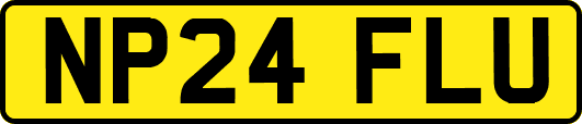 NP24FLU