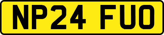 NP24FUO