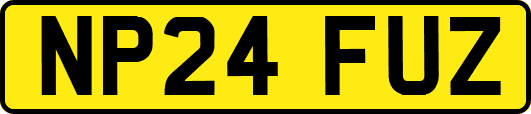 NP24FUZ