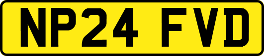 NP24FVD