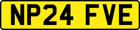 NP24FVE