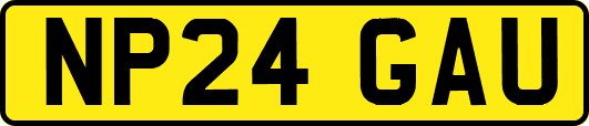 NP24GAU