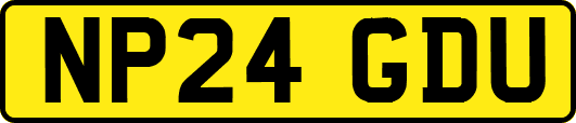 NP24GDU