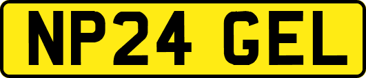 NP24GEL