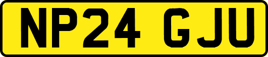 NP24GJU