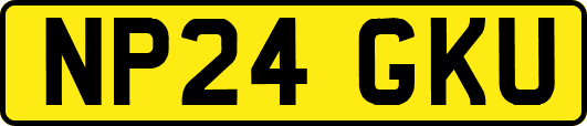 NP24GKU