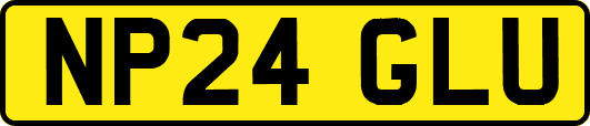 NP24GLU