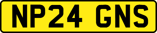 NP24GNS