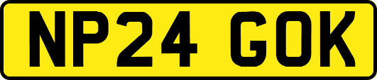 NP24GOK
