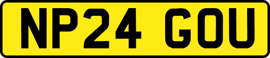 NP24GOU