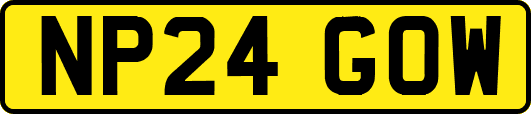 NP24GOW