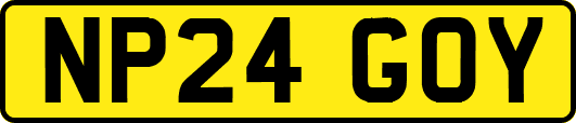 NP24GOY