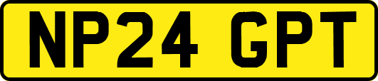 NP24GPT