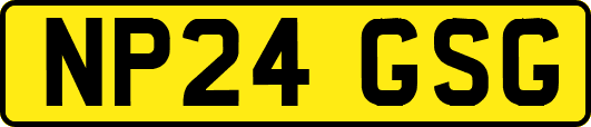 NP24GSG