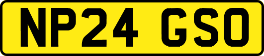 NP24GSO