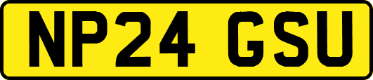 NP24GSU