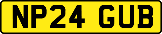 NP24GUB