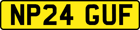 NP24GUF