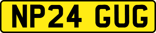 NP24GUG