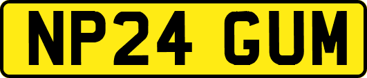 NP24GUM