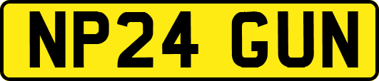 NP24GUN