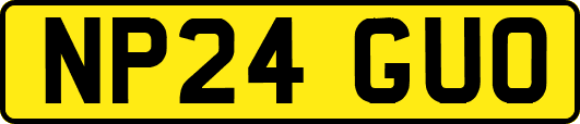 NP24GUO