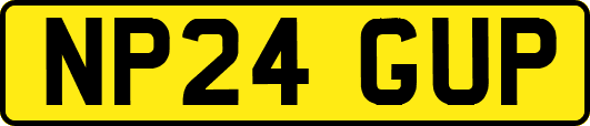 NP24GUP