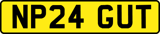 NP24GUT
