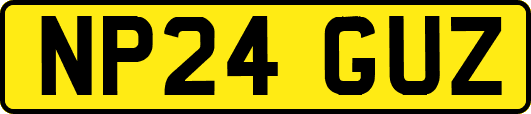 NP24GUZ