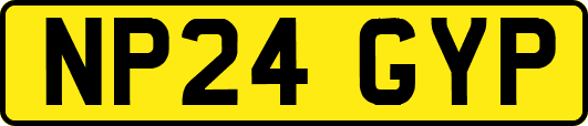 NP24GYP