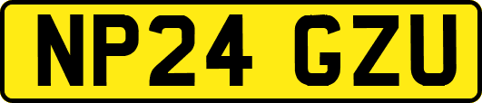 NP24GZU