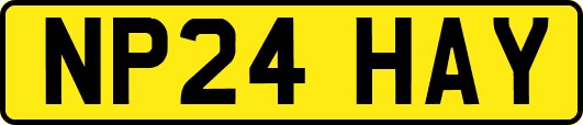 NP24HAY