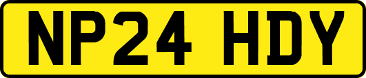 NP24HDY