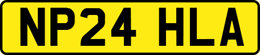 NP24HLA