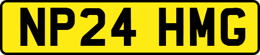 NP24HMG