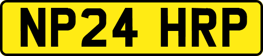 NP24HRP
