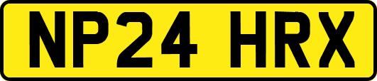 NP24HRX
