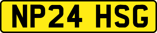 NP24HSG
