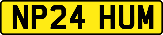 NP24HUM
