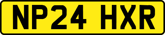NP24HXR