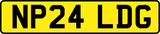 NP24LDG