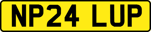 NP24LUP
