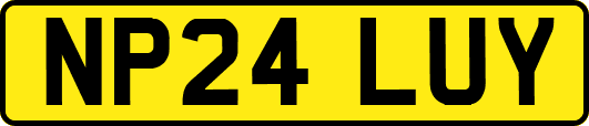 NP24LUY
