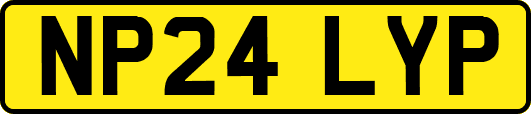 NP24LYP