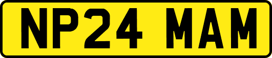 NP24MAM