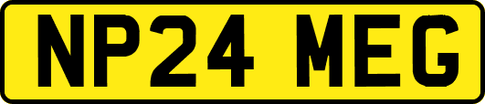 NP24MEG